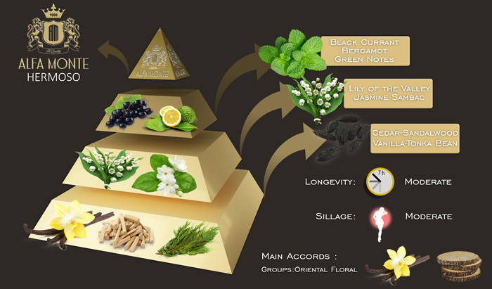 مشخصات و نت های عطر هرموسو آلفا مونته