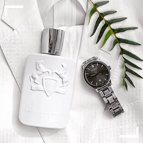 عطر Galloway de Marley مشابه عطر آوانت گارد آلفامونته