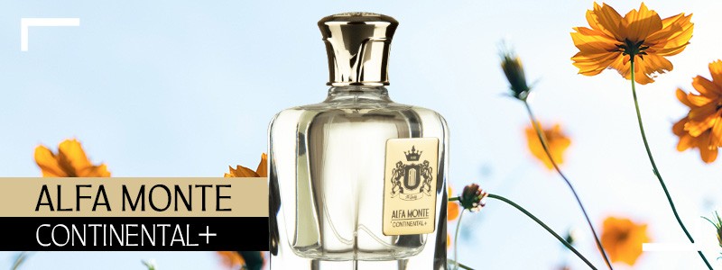 عطر کنتیننتال پلاس آلفا مونته