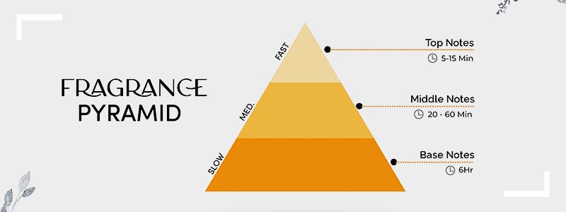 اهرام نت های عطر و ادکلن