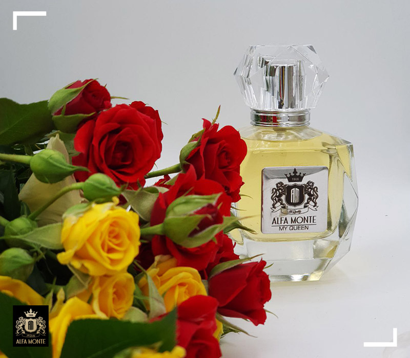 ادکلن مای کوئین آلفامونته
