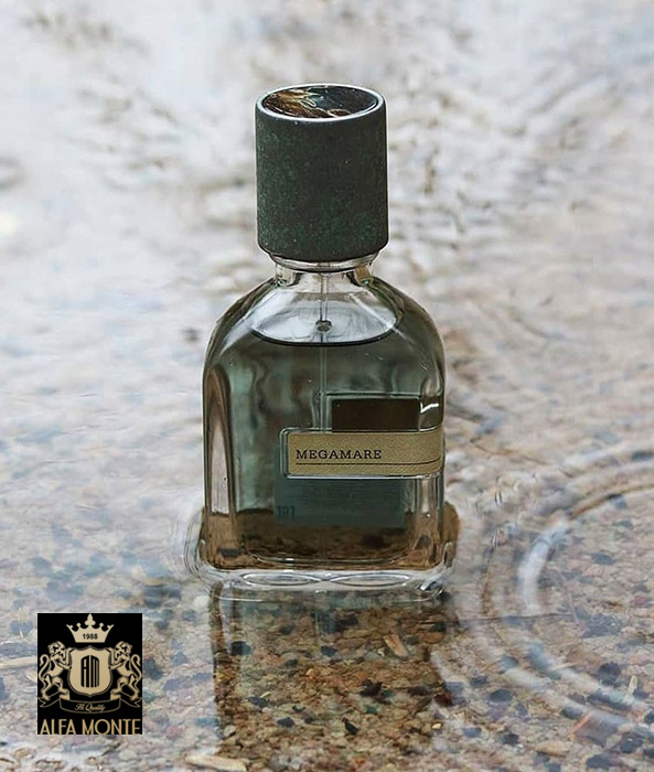 عطر مگاماره اورتو پارسی اصل